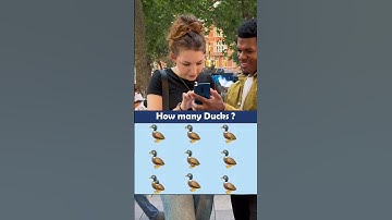 How. many Ducks in this picture?