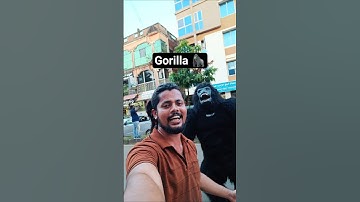 gorilla 🦍 bhi aagaya 😎 #minivlog #vlog #ytshorts #youtubeshorts #funny #dailyvideoblog #trending