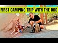 FIRST TIME CAMPING WITH THE DOG!!