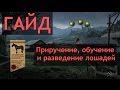 [GUIDE] Life is Feudal - приручение, обучение и разведение лошадей.