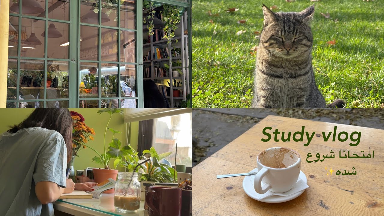 Study vlog| درس بخونیم و به خودمون برسیم 🌳🍋‍🟩