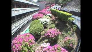 中止 蹴上のつつじ 蹴上浄水場一般公開 京都cf