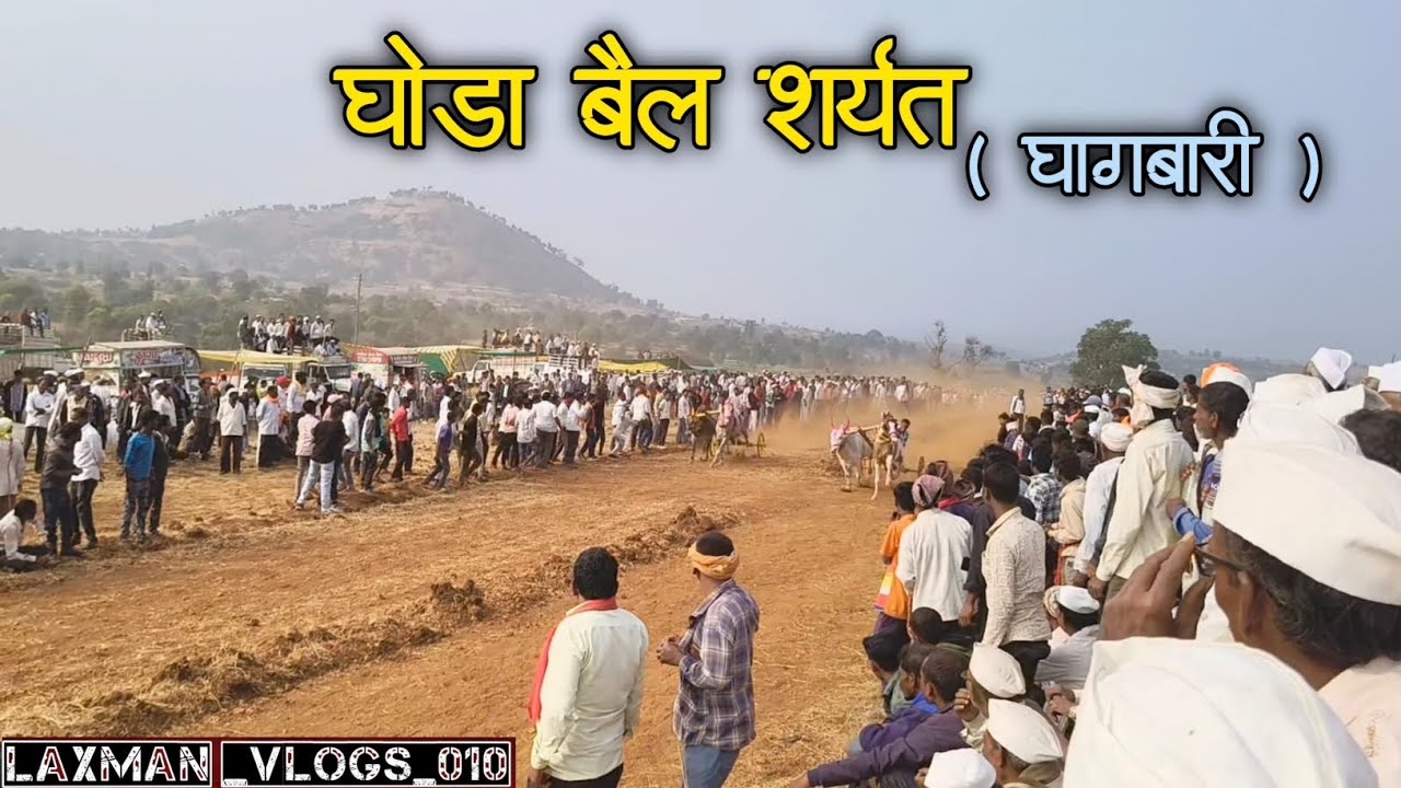घोडा बैल शर्यत घागबारी Ghoda bail sharyat 
