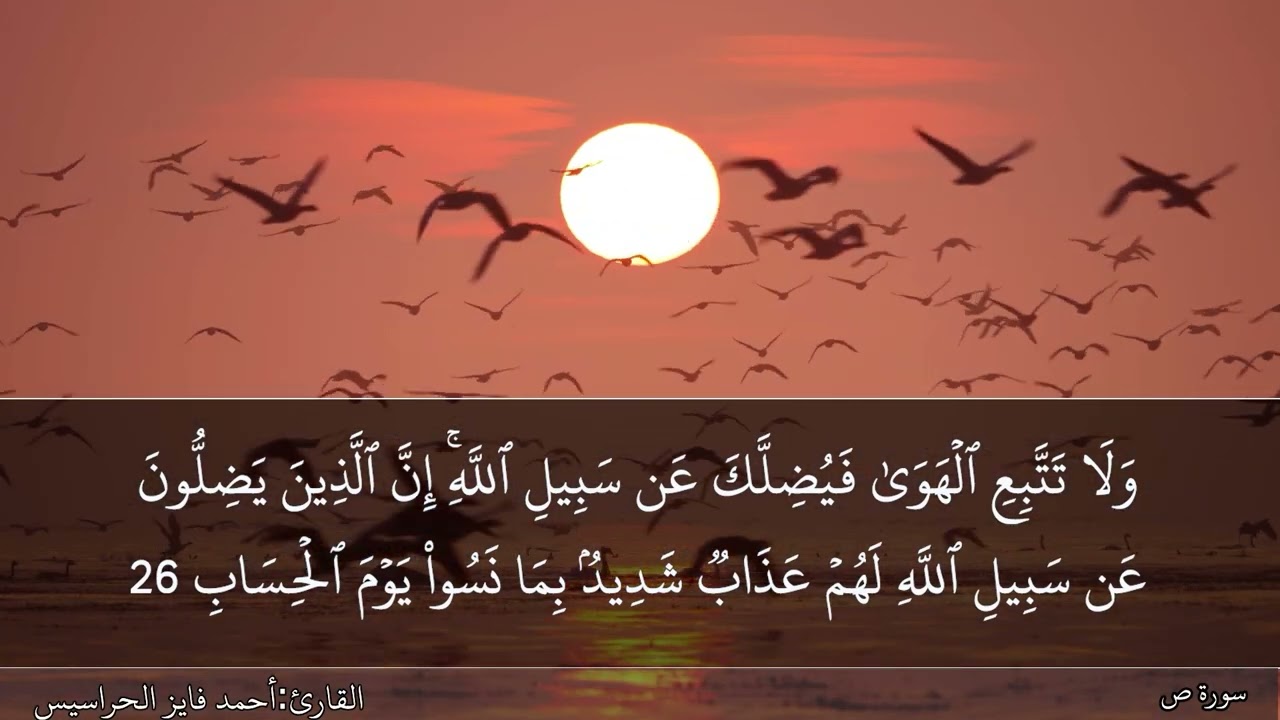 سورة ص كاملة مكتوبة ومسموعة بصوت القارئ احمد الحراسيس