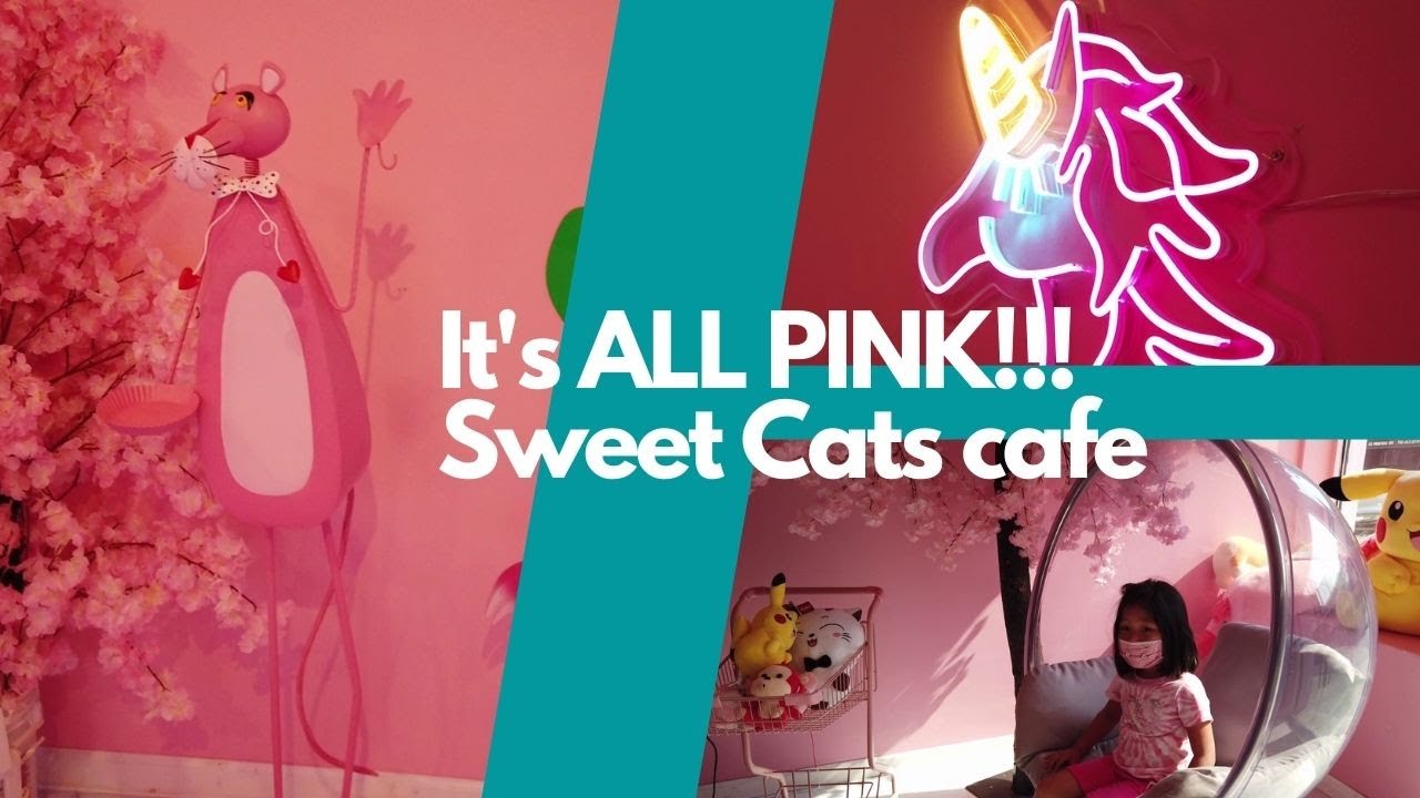 Sweet Cats New Stuff Animal Crane Machine Cafe Open Outside Downtown Flushing Youtube