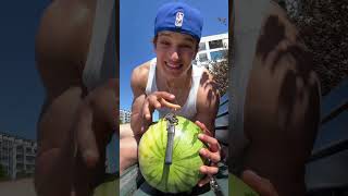 Die Spinne und die Wespe haben mich heftig erschrocken 🕷️🐝 #short #shorts #giulic