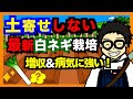 【最新農法】土寄せしない白ネギ栽培!この方法で収益増加の可能性あり!遮光ネット栽培方法を解説!【アニメでわかる家庭菜園・ガーデニング解説】