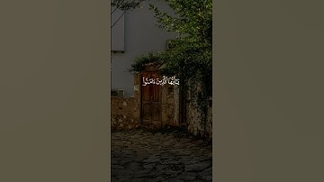 ﴿ان الله وملائكته يصلون على النبي﴾ القارئ محمد الفقيه
