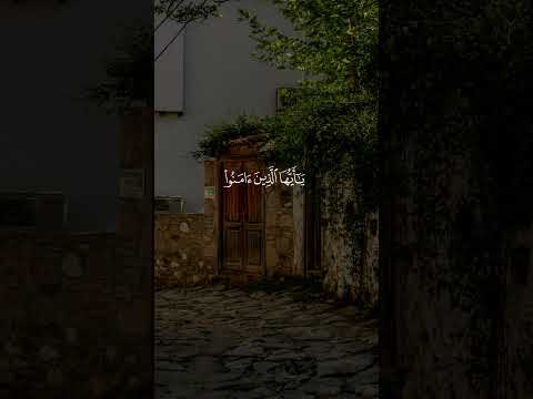 ان الله وملائكته يصلون على النبي القارئ محمد الفقيه