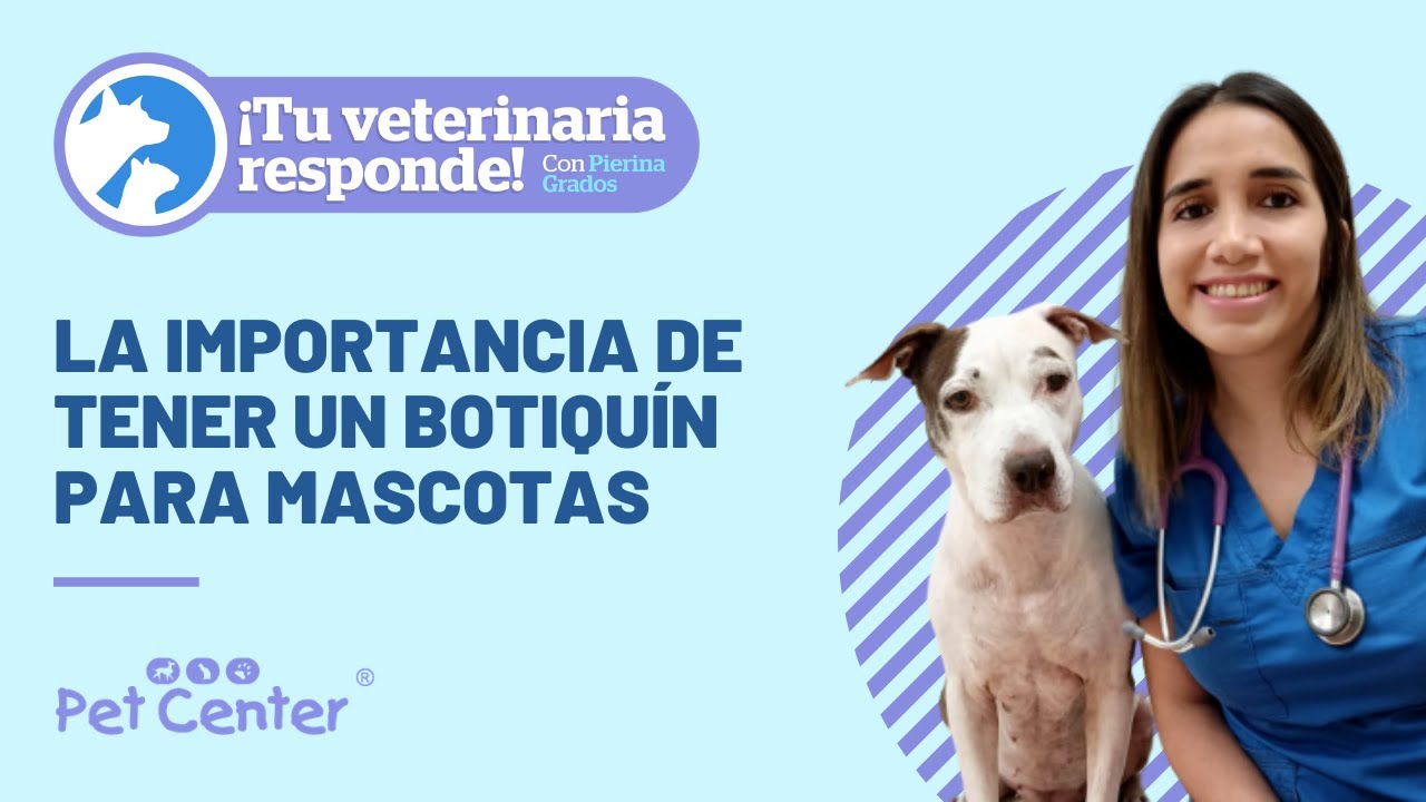 La importancia de tener un botiquín para mascotas