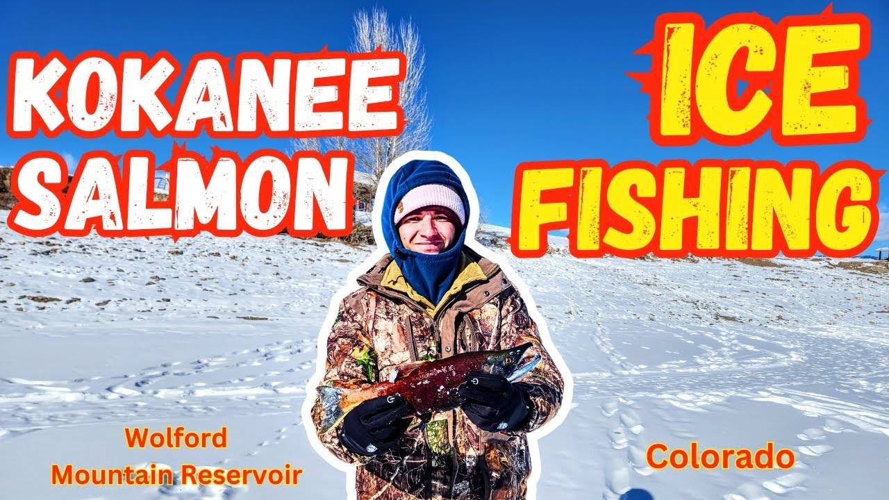 Kokanee Salmon Through the Ice at Wolford Mountain Reservoir, Colorado
