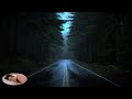 Sleep  Good  with the Rain   Sounds on the Forest Highway  - The Rain Man