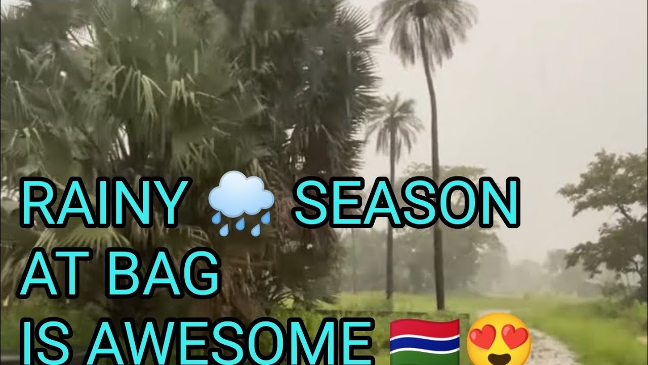 This rainy season is awesome out at Black Acres of The Gambia YouTube