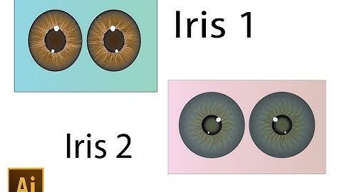 Adobe Illustrator   Iris Vector