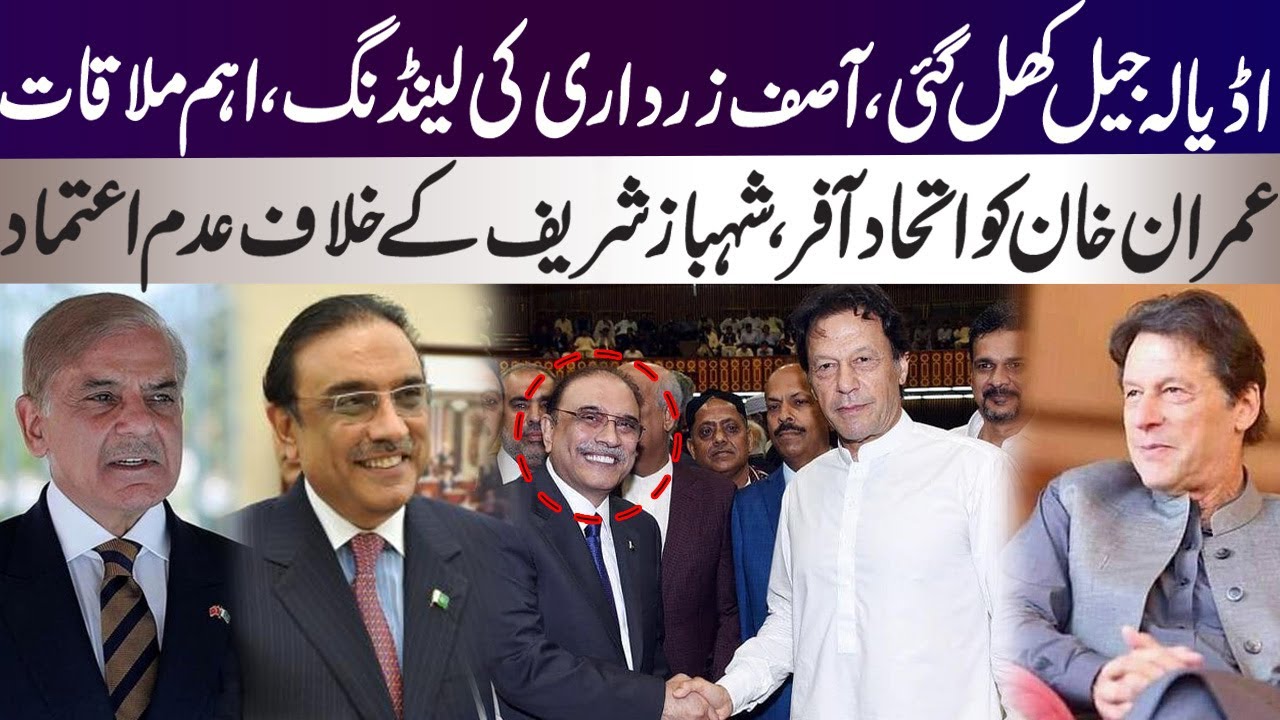Asif Zardari offer for alliance with PTI, direct to Imran Khan in ...