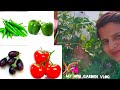 My mini garden vlog ❤️A Peaceful Day Hidden in My Little GardenIn my little garden
