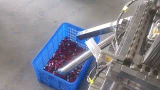 Celebrity Schneider model Arc chute assembly machine Profile