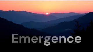 5 Metaphysical Investigations: Emergence