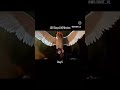 🐦 birds family's short#shortvideo #entertainment #short#shortvideo