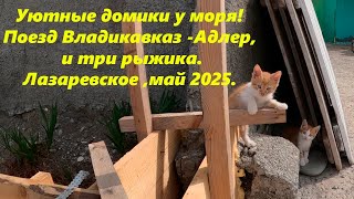 Домики у моря! Владикавказ -Адлер и три рыжика! Лазаревское в мае 2024.🌴ЛАЗАРЕВСКОЕ СЕГОДНЯ🌴СОЧИ.