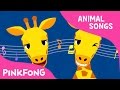 Jerapah Che Che Koolay | Jerapah | Lagu Binatang | Lagu Pinkfong untuk Anak