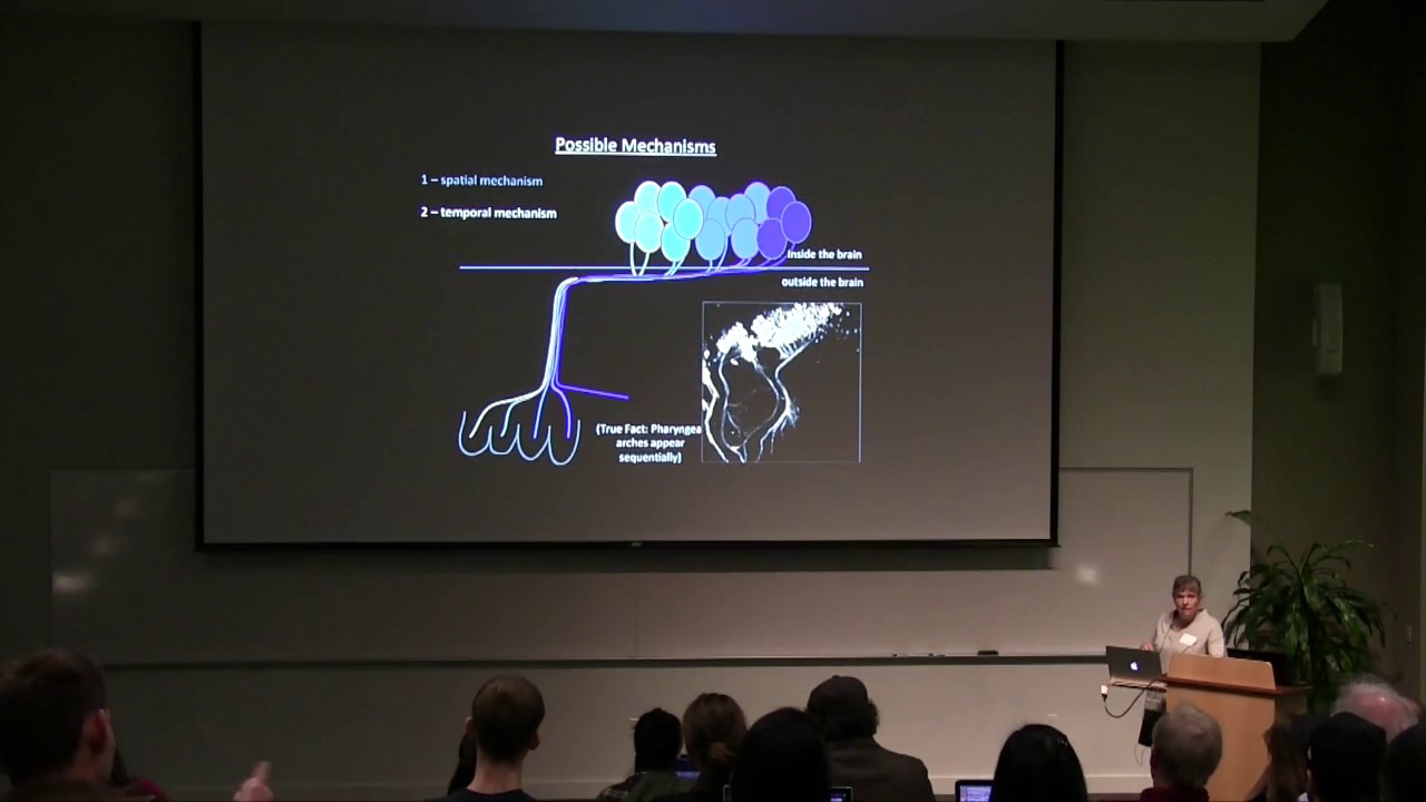 SLU Collaborative 2016 Fall Seminar