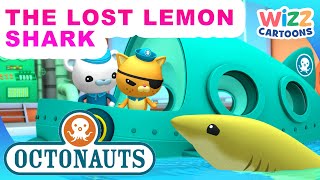 ​@Octonauts  The Lost Lemon Shark   | Series 1 | Full Episode 42 | @WizzCartoons