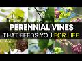 8 Perennial Food Vines That Keep Producing Year After Year!