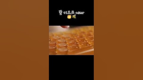 꿀 키보드 asmr🍯