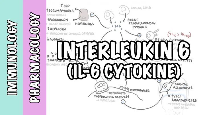 Immunology - Interleukin 6 (IL6) physiology and IL6 antagonist pharmacology Tocilizumab