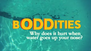 Boddities | Episode 2 | Why does it hurt to get water up your nose?