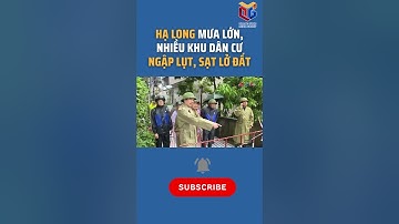 Hạ Long mưa lớn, nhiều khu dân cư ngập lụt, sạt lở đất #shorts