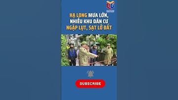 Hạ Long mưa lớn, nhiều khu dân cư ngập lụt, sạt lở đất #shorts