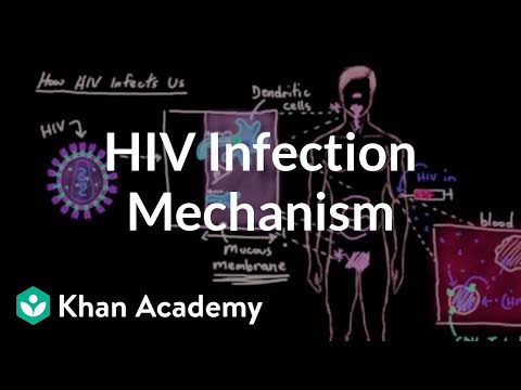 Video: Může HIV infikovat dendritické buňky?