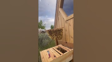 5 декабря 2025 г.