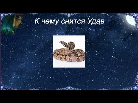 К чему снится Удав (Сонник)