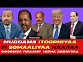 Waraana Erteraa Diigamuu Waliigaltee Ankaaraa Tiraamp Ammas Waa Ee Itoophiyaa Waraana Erteraa Diigamuu Waliigaltee Ankaaraa Tiraamp Ammas Waa Ee Itoophiyaa