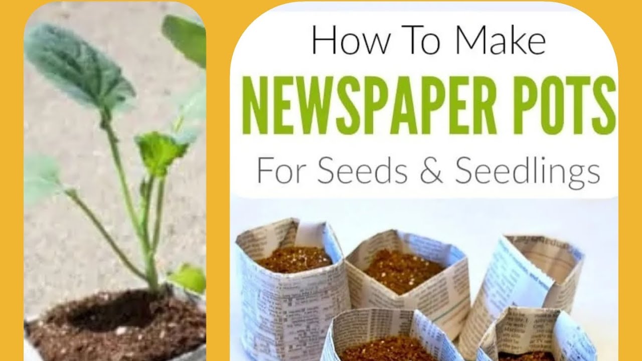 Turning paper to seed starting planters - YouTube