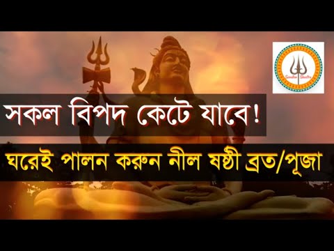 ভিডিও: পিটার সেটেরা নেট ওয়ার্থ: উইকি, বিবাহিত, পরিবার, বিবাহ, বেতন, ভাইবোন