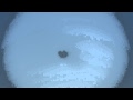 wings over houston 09