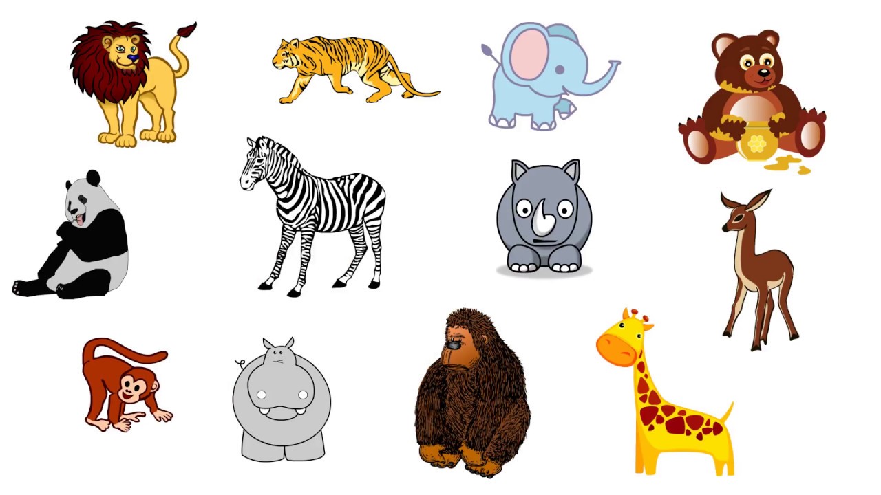 Zoo animals videos. Животные for Kids. Flashcards животные. Картинки animals for Kids. Wild animals Flashcards for Kids.