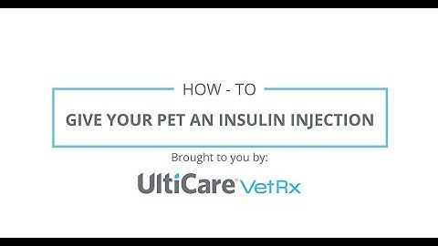 UltiCare VetRx | How to Give Your Pet an Insulin Injection