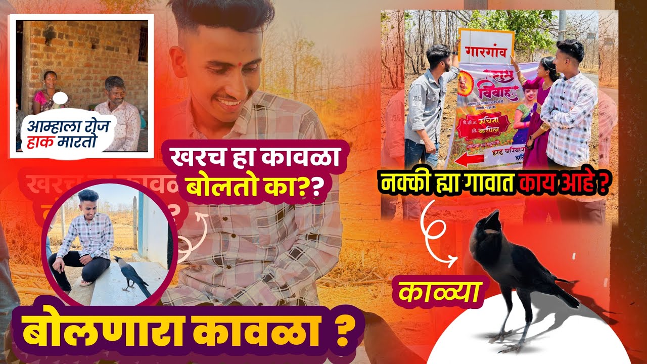 पालघर मधील हा बोलणारा कावळा तुम्ही पाहिलात का ?? चक्क मराठीत बोलतो कावळा😨Palghar Talking Crow🐦‍⬛😍