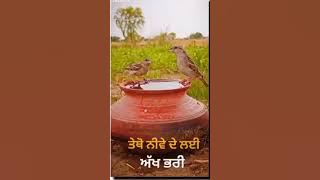 sab hai tera tera new song ## Tarsem jassar new song ## short video for WhatsApp status ##status 🙏