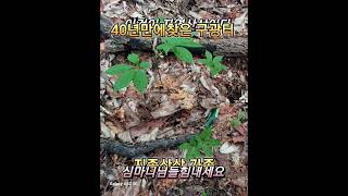 극한직업인 박영호헌터의 최근 산행 정보
