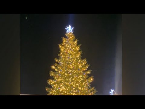 ქობულეთის მთავარი ნაძვის ხე საზეიმოდ აინთო