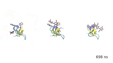 Atomistic simulation of carbohydrate-protein complex formation: Hevein-32 domain