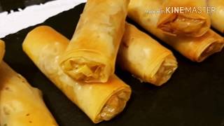 سيكار باللحم المفروم و الخضر روعة بنكهة اسيويةrollos de carne y verdura