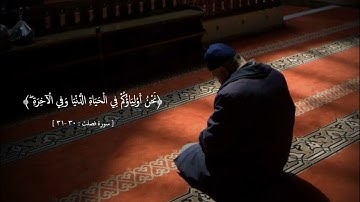 سورة فصلت - ناصر القطامي - الآيات ٣٠،٣١ - تلاوة هادئة استمتعوا ♥️