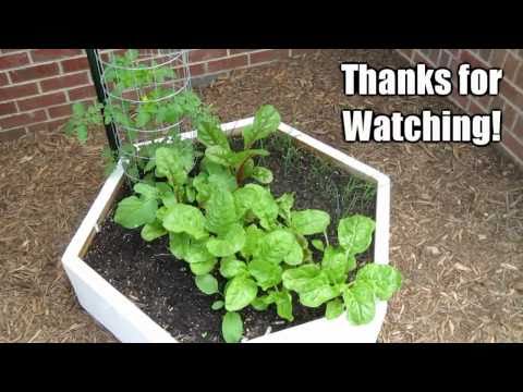 Garden Update #2 - May 3rd 2011 - Raised Bed Vegetables Square Foot Gardening